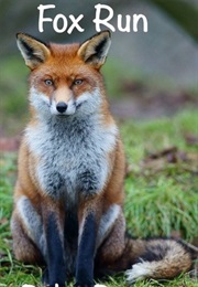 Fox Run (Robin Roseau)
