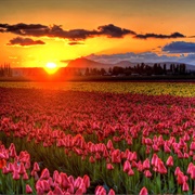 Skagit Valley, USA