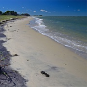 Dameron Marsh Natural Area Preserve Virginia