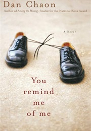 You Remind Me of Me (Dan Chaon)