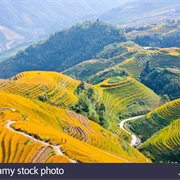 Lóngji Rice Terraces