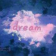 I Make Up a Dream in My Head Before I Go to Sleep