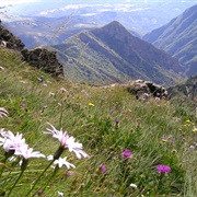 Central Balkan National Park, Bulgaria