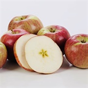 McIntosh Apple - John McIntosh