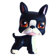 Littlest Pet Shop #63