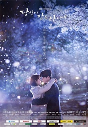 While You Were Sleeping (2017)