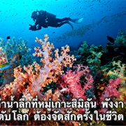 Similan Islands, Phang Nga