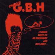 GBH Leather Bristles