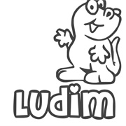 Ludim