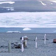 Graves of Beechey Island, Nunavut