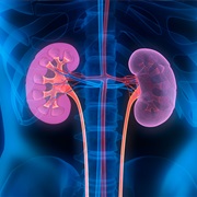 Kidney Cancer