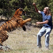 Encountered an Animal in the Wild That Was Bigger Than You