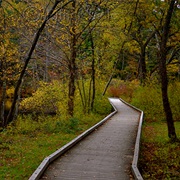 Bradley Palmer State Park, Massachusetts