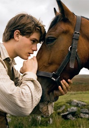 Fourteen Uncredited Horses as Joey (War Horse) (2011)