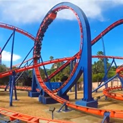 Scorpion (Busch Gardens Tampa Bay, USA)