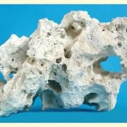 Ocean Rock (Aka: Rock Fish)