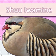 Shuu Iwamine