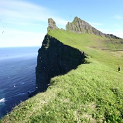 Hornstrandir Nature Reserve, Iceland