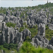 Stone Forest - China