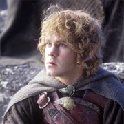 Meriadoc Brandybuck