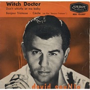 Witch Doctor - David Seville