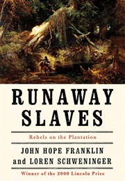 Runaway Slaves: Rebels on the Plantation (John Hope Franklin and Loren Schweninger)