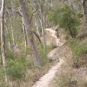 Six Foot Track to the Blue Mountains