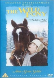 The Wild Pony (1983)