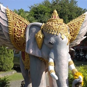 Winged Elephant