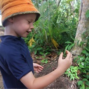 Playing With Spiders as a Kid