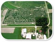 Tews Corn Maze, Lewiston