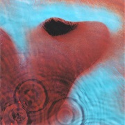Meddle (Pink Floyd, 1971)