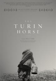 The Turin Horse (Béla Tarr, 2011)