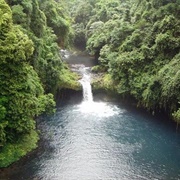 Fernando Pó (Bioko)