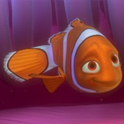 Coral - Finding Nemo