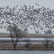 Madison Wetland Management District, South Dakota