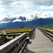 Potter Marsh Bird Sanctuary