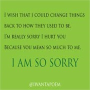 Say Sorry to Someone