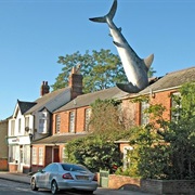 Shark House