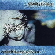 Pineapple Thief - Variations on a Dream