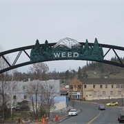 Weed, California, USA