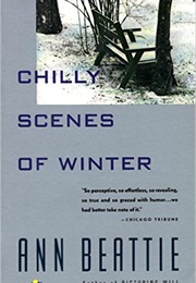 Chilly Scenes of Winter (Ann Beattie)