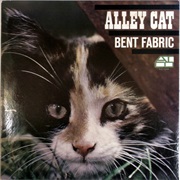 Alley Cat - Bent Fabric