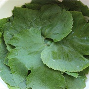 #53:  Appetizers and Snacks:  Lemony Rice-Stuffed Grape Leaves