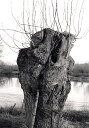 L'itinéraire DE JEAN BRICARD