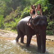 Ride an Elephant in Myanmar