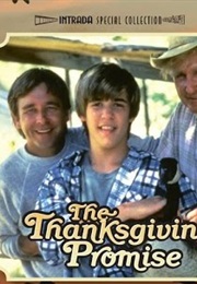 The Thanksgiving Promise (1986)