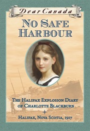 No Safe Harbour (Julie Lawson)