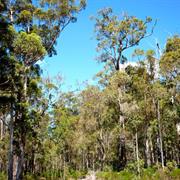 Bramley National Park (WA)