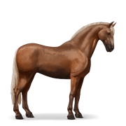 Peruvian Paso - Flaxen Chestnut